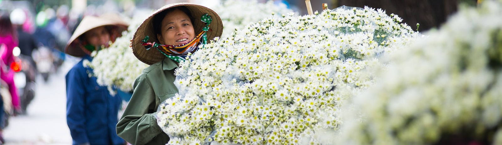 viajes a Vietnam