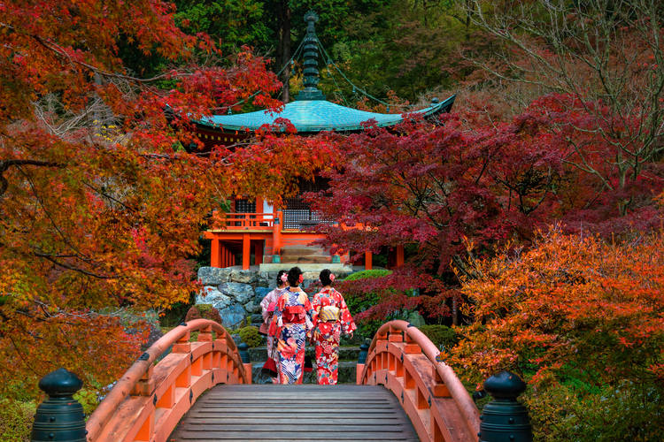 10 días de Japón tradicional