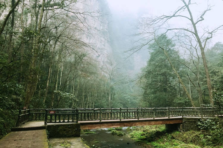 Gold Whip Stream (Jinbian Xi)